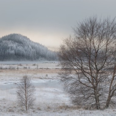 Winter in the Highlands