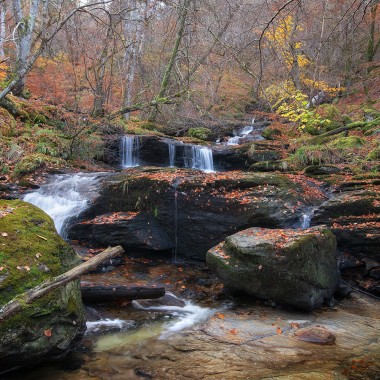 Autumn in Perthshire